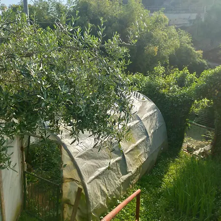 Holiday home La Nicchia Di Franco Montignoso