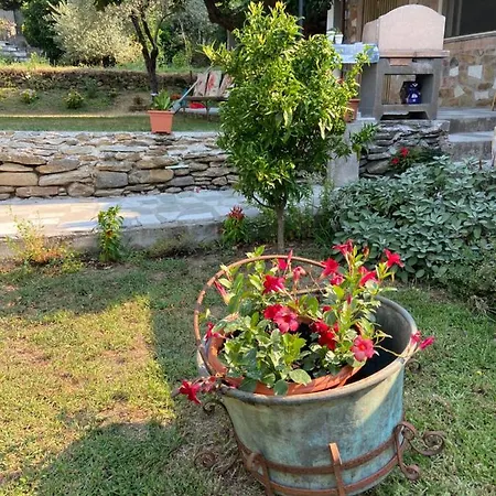 La Nicchia Di Franco Holiday home Montignoso