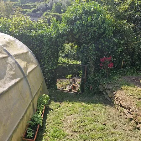 La Nicchia Di Franco Ferienhaus Montignoso